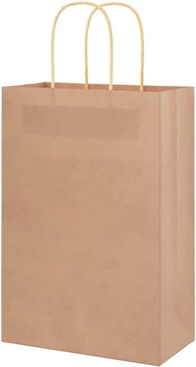 Papieren zakjes - Cadeauzakjes - Feestelijke verpakking - Met hengsels - 21x11x31 cm - Bruin