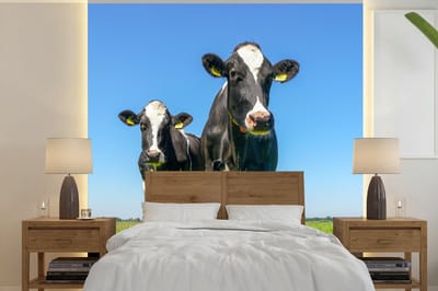 Behang - Fotobehang Koeien - Weiland - Gras - Dieren - Boerderij - Breedte 240 cm x hoogte 240 cm