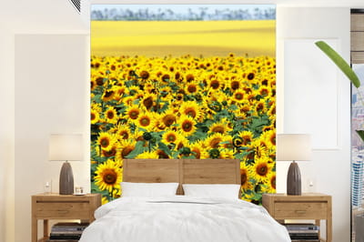 Behang - Fotobehang Zonnebloem - Bloemen - Natuur - Breedte 165 cm x hoogte 220 cm