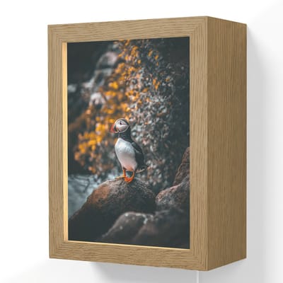 Wandlamp 15x20 cm - Oplaadbaar - Papegaai - Vogel - Rots - Wit - Wandlampen binnen woonkamer - Slaapkamer lamp met kabel - Decoratieve nachtlamp - Vloerlamp snoer