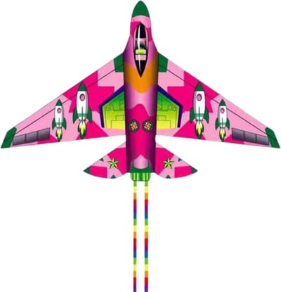 Bovista Vlieger Voor Strand - Kite Vliegers - Kindervlieger - Vliegtuig - Roze