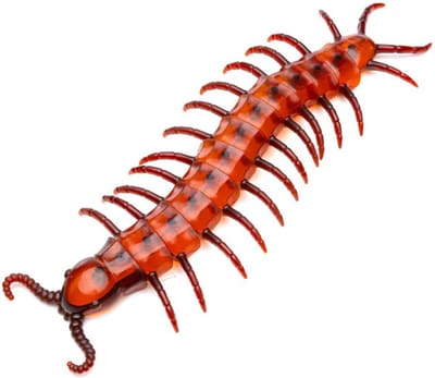Chaks nep duizendpoot 45 cm - rood - 1x - horror/griezel thema decoratie