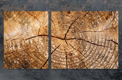 TMK ArtDeko - Serie - Snijplank - Geharde Glasplaat - 100x52 cm