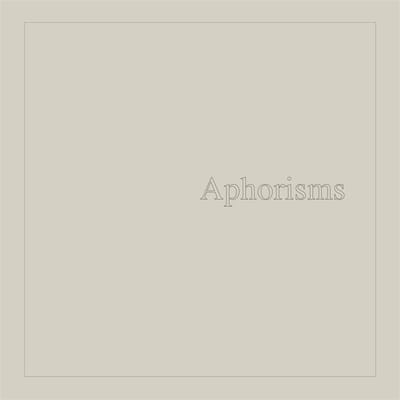 Graham Lambkin - Aphorisms (2 LP)