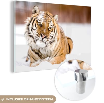MuchoWow® Glasschilderij 60x40 cm - Schilderij acrylglas - Tijger - Sneeuw - Wit - Foto op glas - Schilderijen