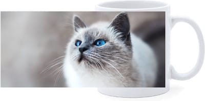 Beker - Poes Licht met Blauwe Ogen