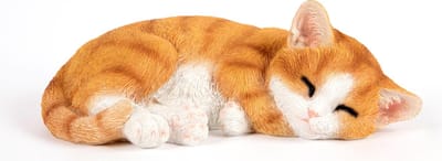 Slapende rode Kitten