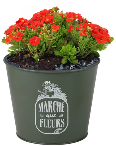 Sunnydays /plantenpot/bloempot - zink - legergroen - D17 x H14 cm