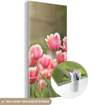 MuchoWow® Glasschilderij 20x40 cm - Schilderij acrylglas - Tulpen - Zon - Lente - Foto op glas - Schilderijen