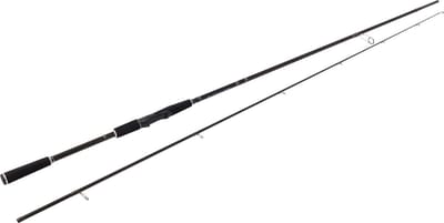 Westin W2 Powerteez 2.50m 14-49g M