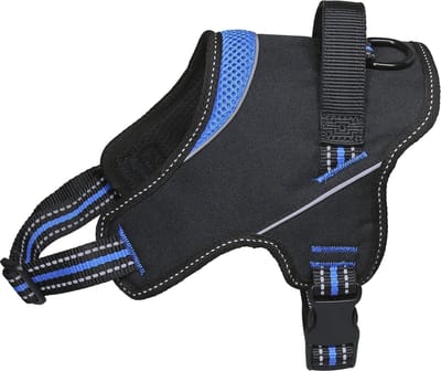 Jack And Vanilla - Tuigen - Jv Outdoor Comforttuigje Blauw-55cm Outha5055 - 229020
