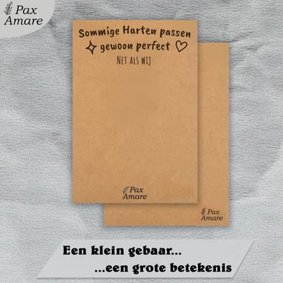 BFF Ketting voor 3 'Sommige harten passen perfect' - Magnetisch Glitter Hartje - Vriendschapsketting op Cadeau Kaartje - 45cm + 5cm verstelbaar - Zilverkleurig - Best Friends Hanger - Pax Amare