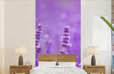 Behang - Fotobehang Lavendel - Close-up - Bloemen - Paars - Breedte 120 cm x hoogte 240 cm