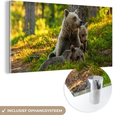 MuchoWow® Glasschilderij 40x20 cm - Schilderij acrylglas - Beer - Bruin - Bos - Foto op glas - Schilderijen