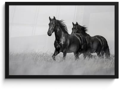 Poster in lijst - Fotolijst 60x40 cm - Posters - Paarden - Gras - Zwart - Wit - Posterlijst zwart - Decoratie - Wanddecoratie woonkamer - Muurdecoratie slaapkamer
