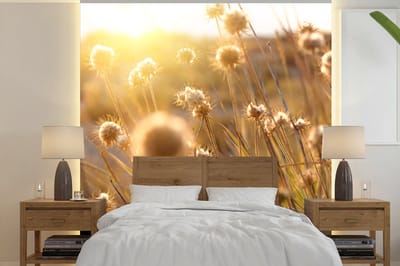 Behang - Fotobehang Planten - Natuur - Bloemen - Zon - Horizon - Breedte 280 cm x hoogte 280 cm