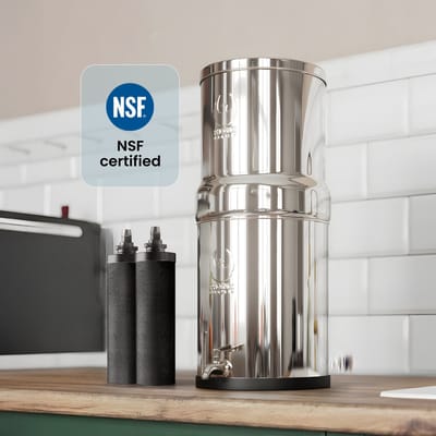 Phoenix Gravity Waterfilter - Verwijdert 99,9% van PFAS, metalen & bacteriën - Voor thuis & op reis – 6L – 2-3 personen