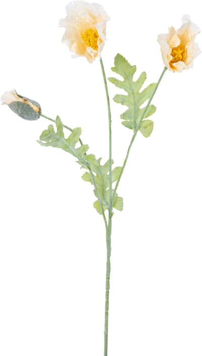 Easyplants | Kunstbloem Poppy 73 cm crème | Zijde | Nepbloemen | crème | Onderhoudsvrij | Kant-en-klaar