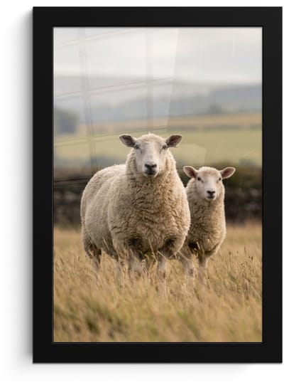 Poster in lijst - Fotolijst 20x30 cm - Posters - Schapen - Weidenlandschap - Heuvels - Posterlijst zwart - Decoratie - Wanddecoratie woonkamer - Muurdecoratie slaapkamer