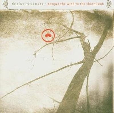This Beautiful Mess - Temper The Wind To The Shorn Land (CD)