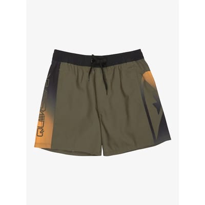 Quiksilver Everyday Holmes Volley 16´´ Zwembroek Grijs XS Man
