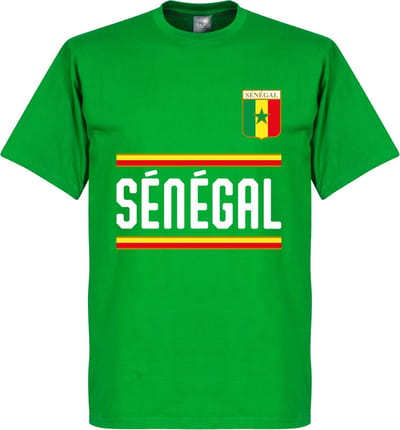 Senegal Team T-Shirt - L