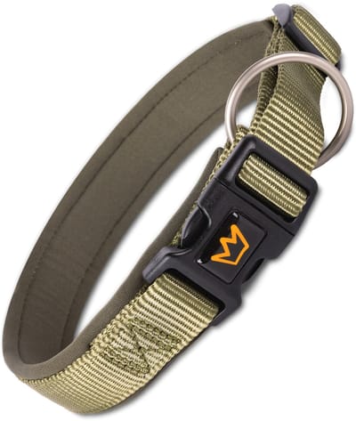 Rudelkönig Hondenhalsband Bella – Verstelbaar nylon halsband hond met neopreen en stijlvol design