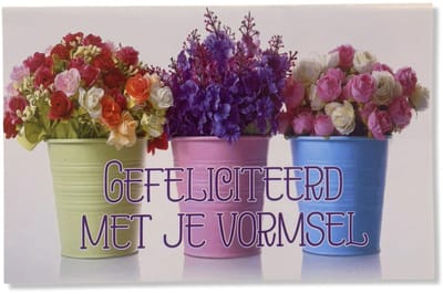 Vormsel Wenskaart - 12x17cm - Gevouwen kaart inclusief envelop - Heilig Vormselkaart