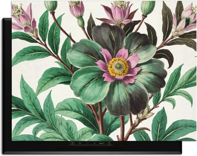 KitchenArt - Botanical Grace – Inductie Beschermer - 80x52 cm - Kookplaat Beschermer - Luxe Afdekplaat Inductieplaat - Anti-slip & Oprolbaar - Beschermmat Inductiekookplaat
