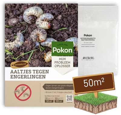 Pokon Aaltjes tegen Engerlingen - 25 miljoen Aaltjes voor 50m² gazon - Natuurlijke engerlingenbestrijding - Resultaat binnen 2 tot 3 dagen