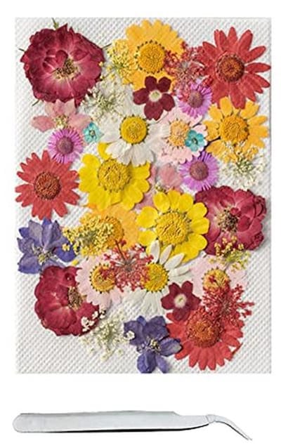 Natuurlijke gedroogde geperste bloemen voor hars, kaarsen, sieraden en uitnodigingen - 42 stuks