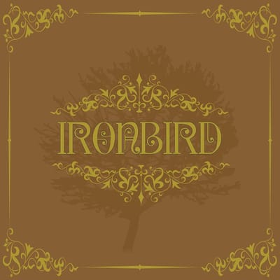 Ironbird