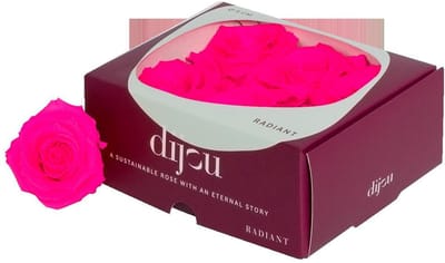 6x Dc pres.rozen neon magenta