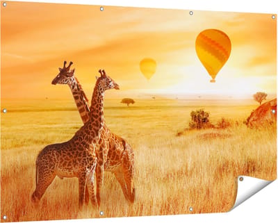 Gards Tuinposter Twee Giraffen met Twee Oranje Luchtballonnen - 150x100 cm - Tuindoek - Tuindecoratie - Wanddecoratie buiten - Tuinschilderij