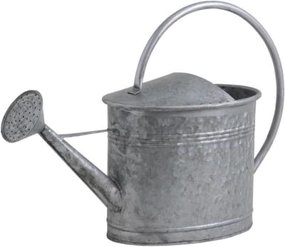 Gieter Zwaar Zink - Waterkan Tuin - Planten Water Geven - Robuuste Constructie - 7 Liter Inhoud - Metaal