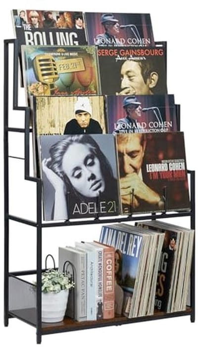 5-Tier Vinyl Record Storage Stand - Grote Capaciteit Organizer voor Albums, CD's, DVD's en Magazines