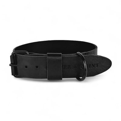 Cooper & Quint Bold Brede Leren Halsband - Zwart - Small - 3 cm - All Black