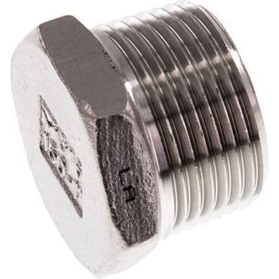 1'' NPT Buitendraad RVS Plug met Buitenzeskant 16 Bar