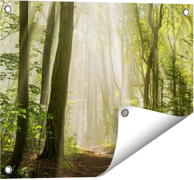 Gards Tuinposter Bos met Bomen en Zonneschijn - 50x40 cm - Tuindoek - Tuindecoratie - Wanddecoratie buiten - Tuinschilderij