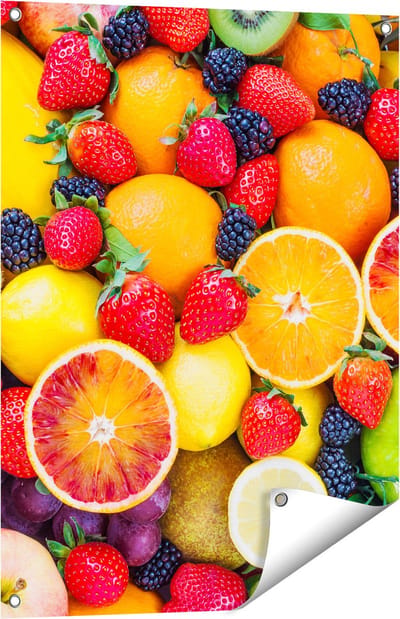 Gards Tuinposter Kleurrijke Fruit Achtergrond - 60x80 cm - Tuindoek - Tuindecoratie - Wanddecoratie buiten - Tuinschilderij