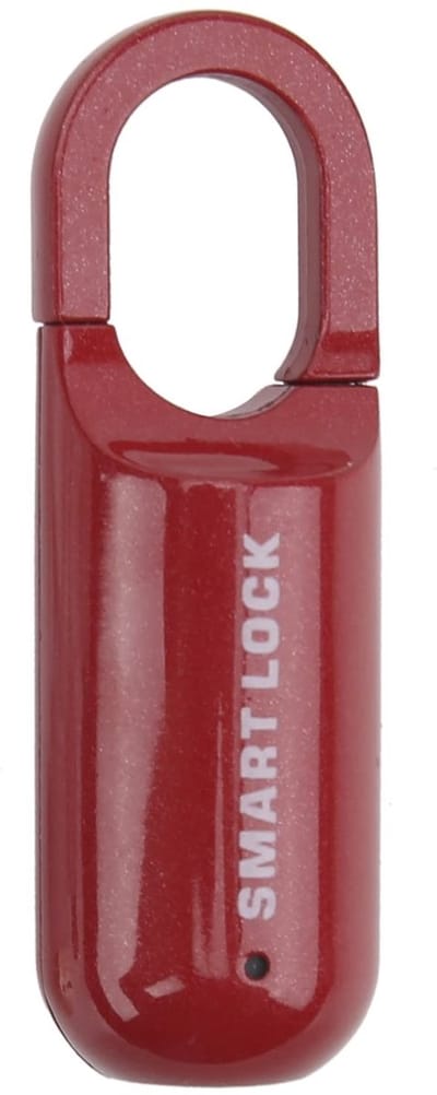Dailygoods - Hangslot met vingerafdruk - Diefstalbeveiliging zonder sleutel - Rood - Oplaadbaar via USB - Geschikt voor deuren en kasten - Innovatieve...