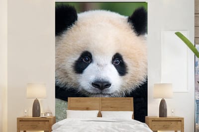 Behang - Fotobehang Panda - Wilde dieren - Portret - Steen - Breedte 180 cm x hoogte 280 cm
