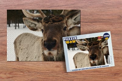 Puzzel Close-up van een rendier in de sneeuw - Legpuzzel - Puzzel 1000 stukjes volwassenen