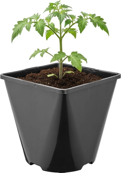 Garronda Set van 5 afgeronde vierkante kunststof bloempotten met drainagegaten voor tuin (Zwart, 14 x 14 x 14 cm (2L)) GD-KW-SR