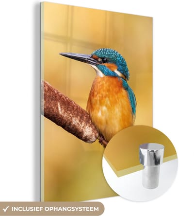 MuchoWow® Glasschilderij 30x40 cm - Schilderij acrylglas - IJsvogel - Natuur - Vogel - Foto op glas - Schilderijen