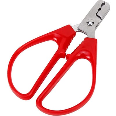 Pince décortiqueuse ouvre-noix et graines en acier inoxydable rouge