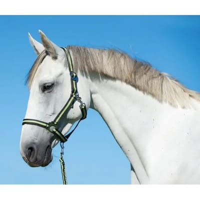 Covalliero Halster Hippo Antra/Lemon Pony