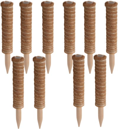 Pro garden plantenstok kokos - 10x - eucalyptushout - D4,5 x H30 cm - plantensteun