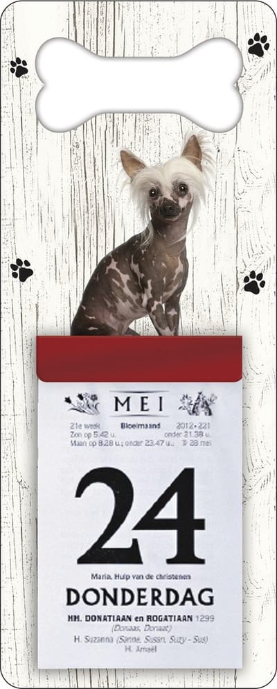 Scheurkalender 2027 Hond: Naakthond