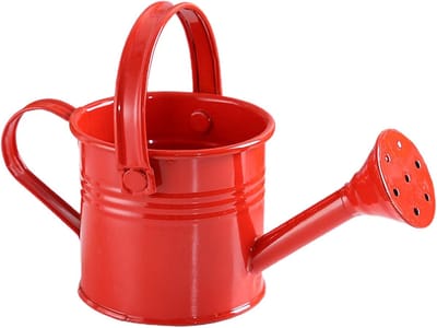 Mini Gieter - Water Pot - Kinder Tuinieren - Roestvrij Metaal - 15 x 8 x 8 cm - Grijs